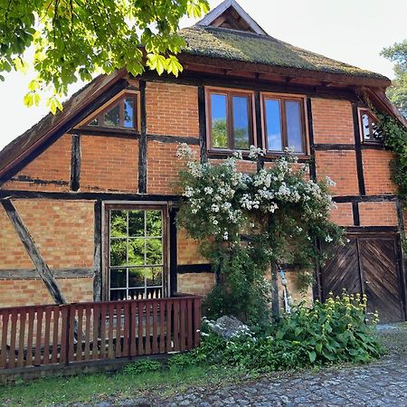 Pfarrhaus Tollensesee Penzlin Dış mekan fotoğraf