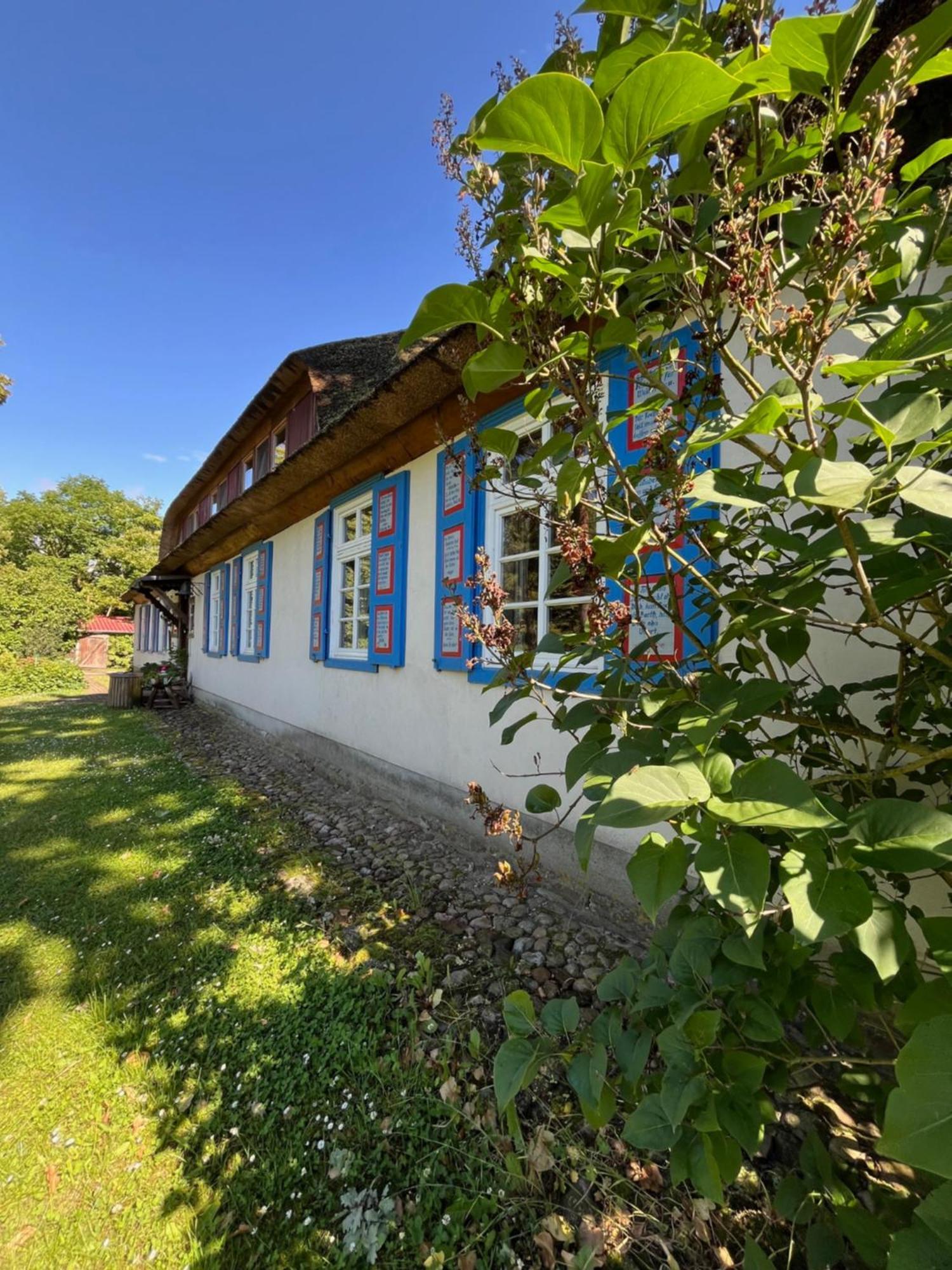 Pfarrhaus Tollensesee Penzlin Dış mekan fotoğraf