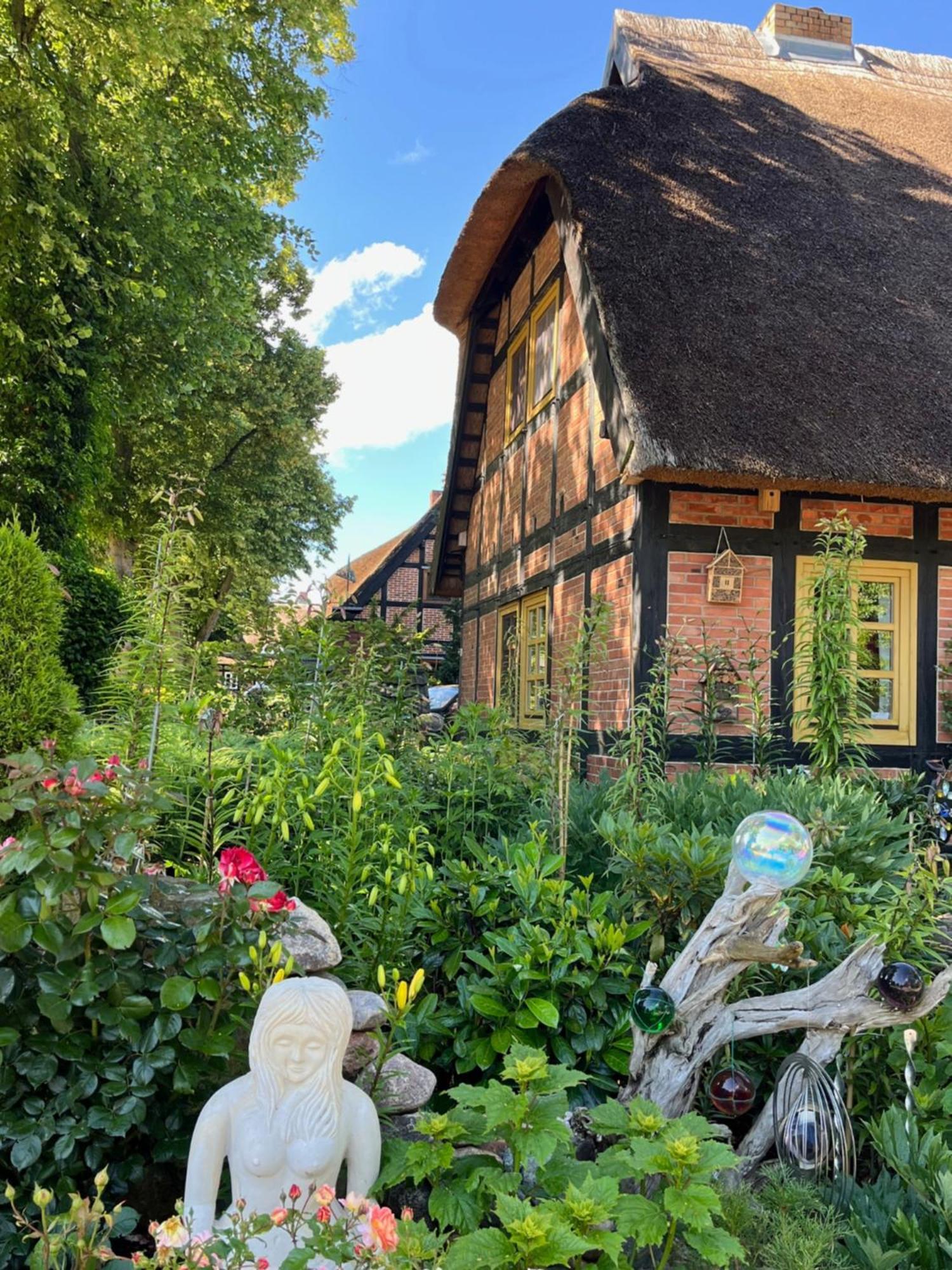 Pfarrhaus Tollensesee Penzlin Dış mekan fotoğraf