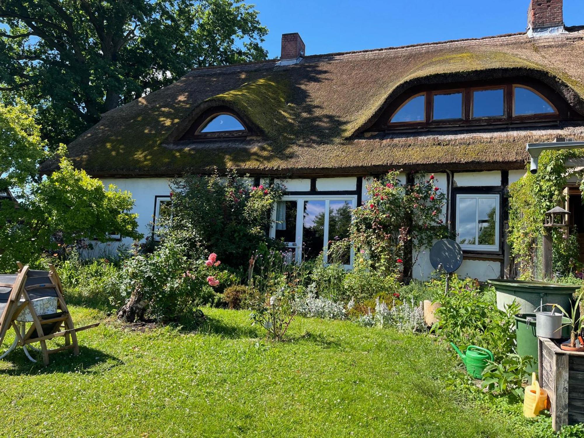 Pfarrhaus Tollensesee Penzlin Dış mekan fotoğraf