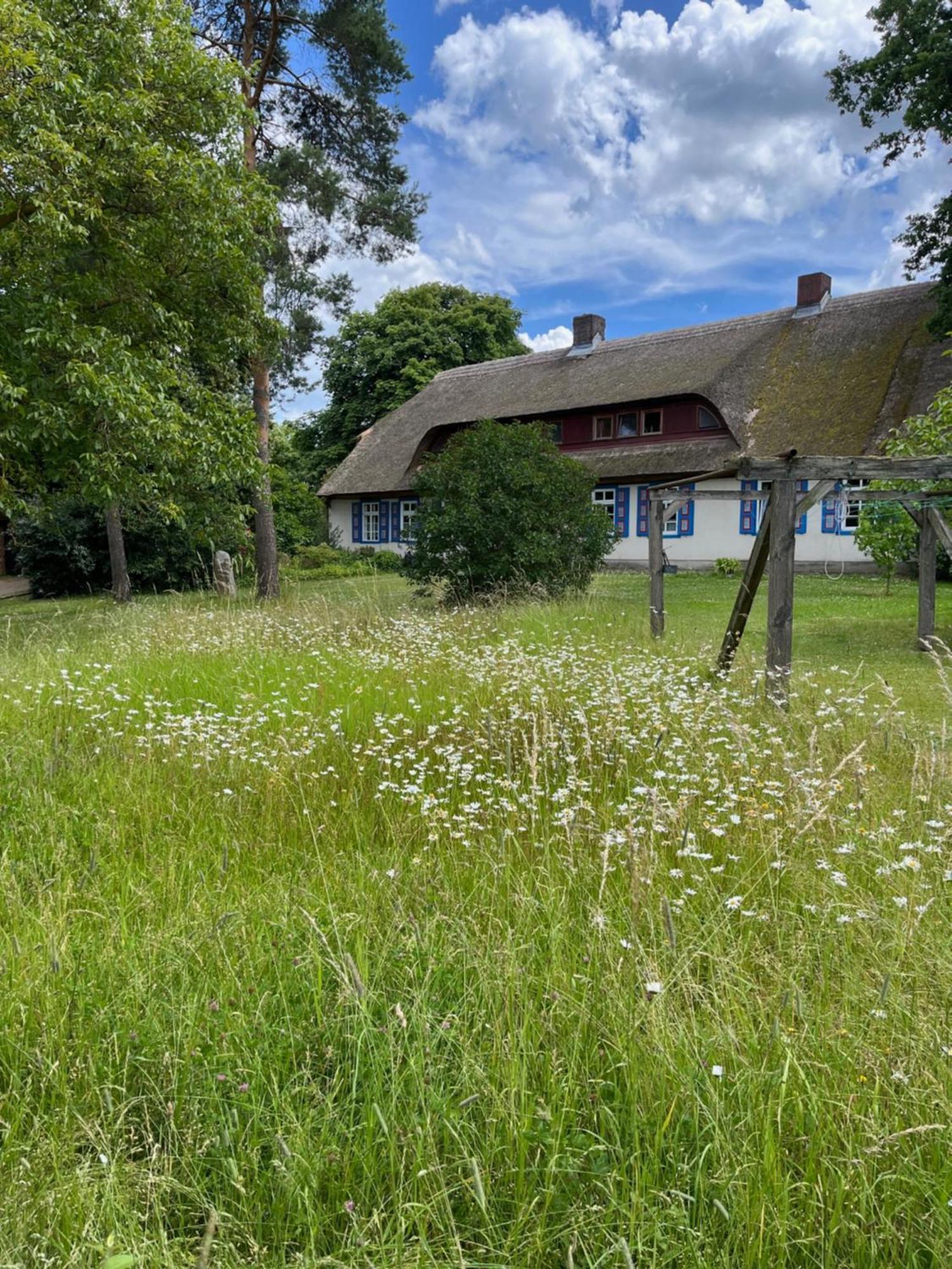 Pfarrhaus Tollensesee Penzlin Dış mekan fotoğraf